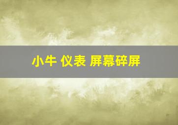 小牛 仪表 屏幕碎屏